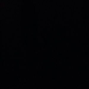 Meet your Posher, Arianna